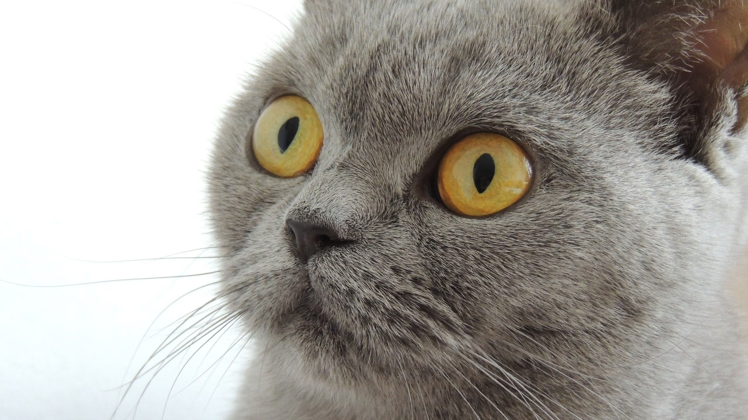 _热火队防守坚若磐石,击退反扑_,热火队训练视频