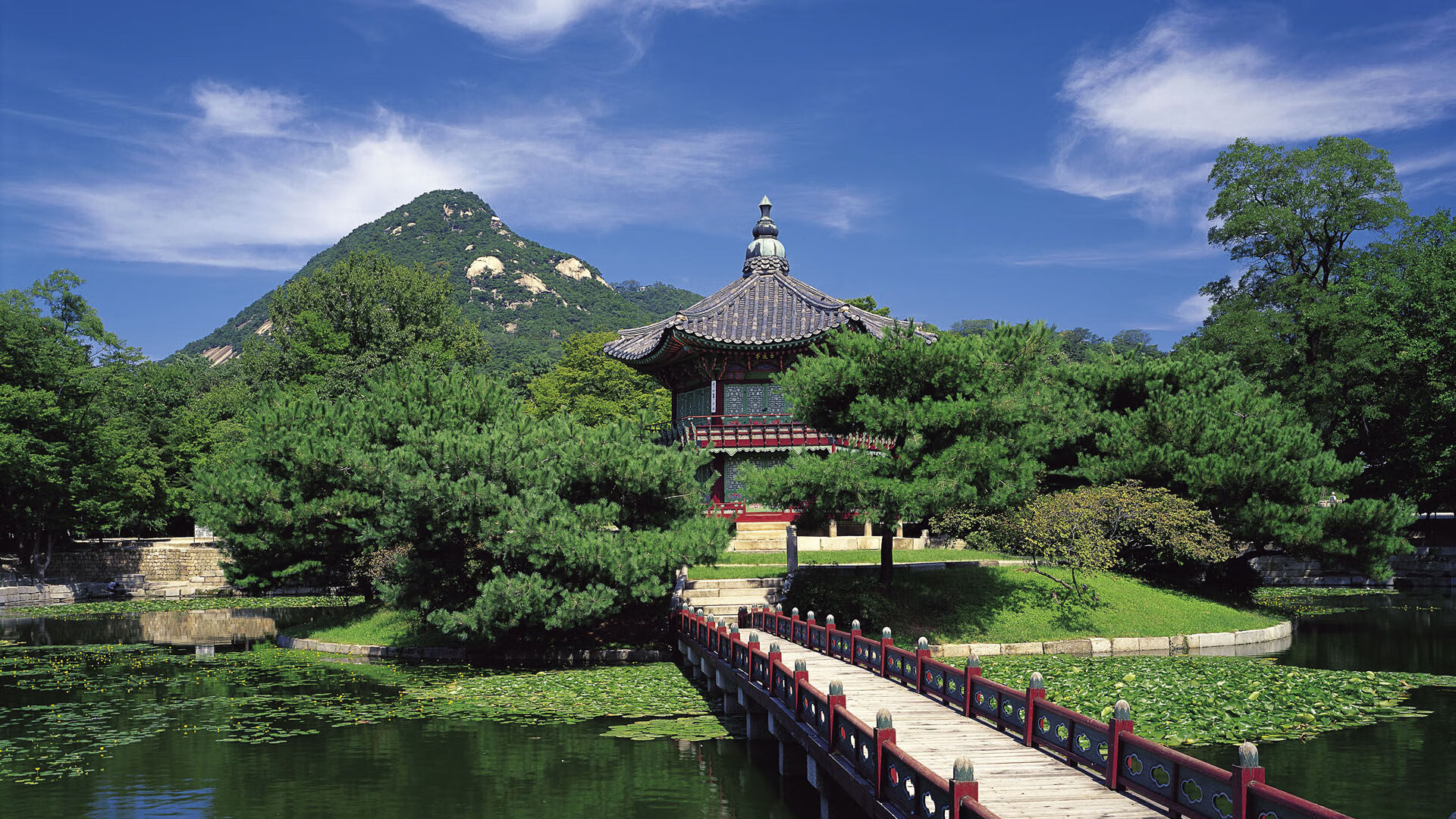 【哈珀霸气归来】费城明星连续多打点,哈珀dc