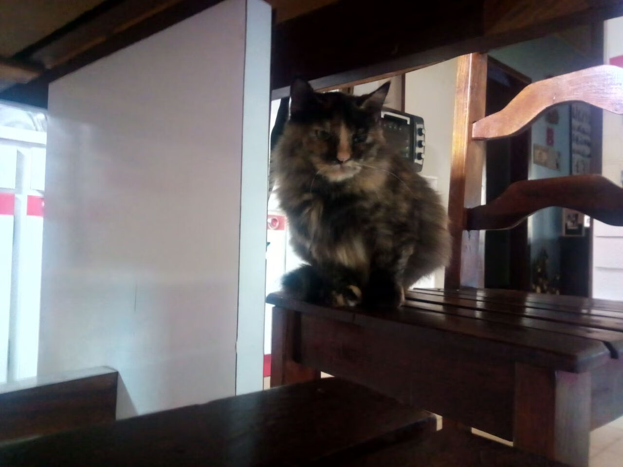 九游（jiuyou.com）游戏-冬奥会特技滑雪赛，技术与勇气的极致展现，冬奥会滑雪项目简介