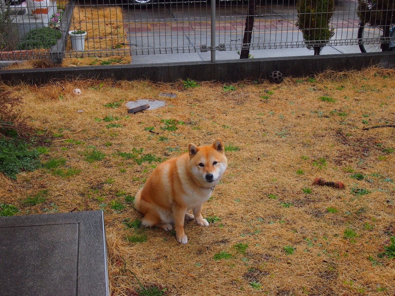 JIU YOU GAME-中国篮球运动员职业道德教育，篮球职业运动员的要求