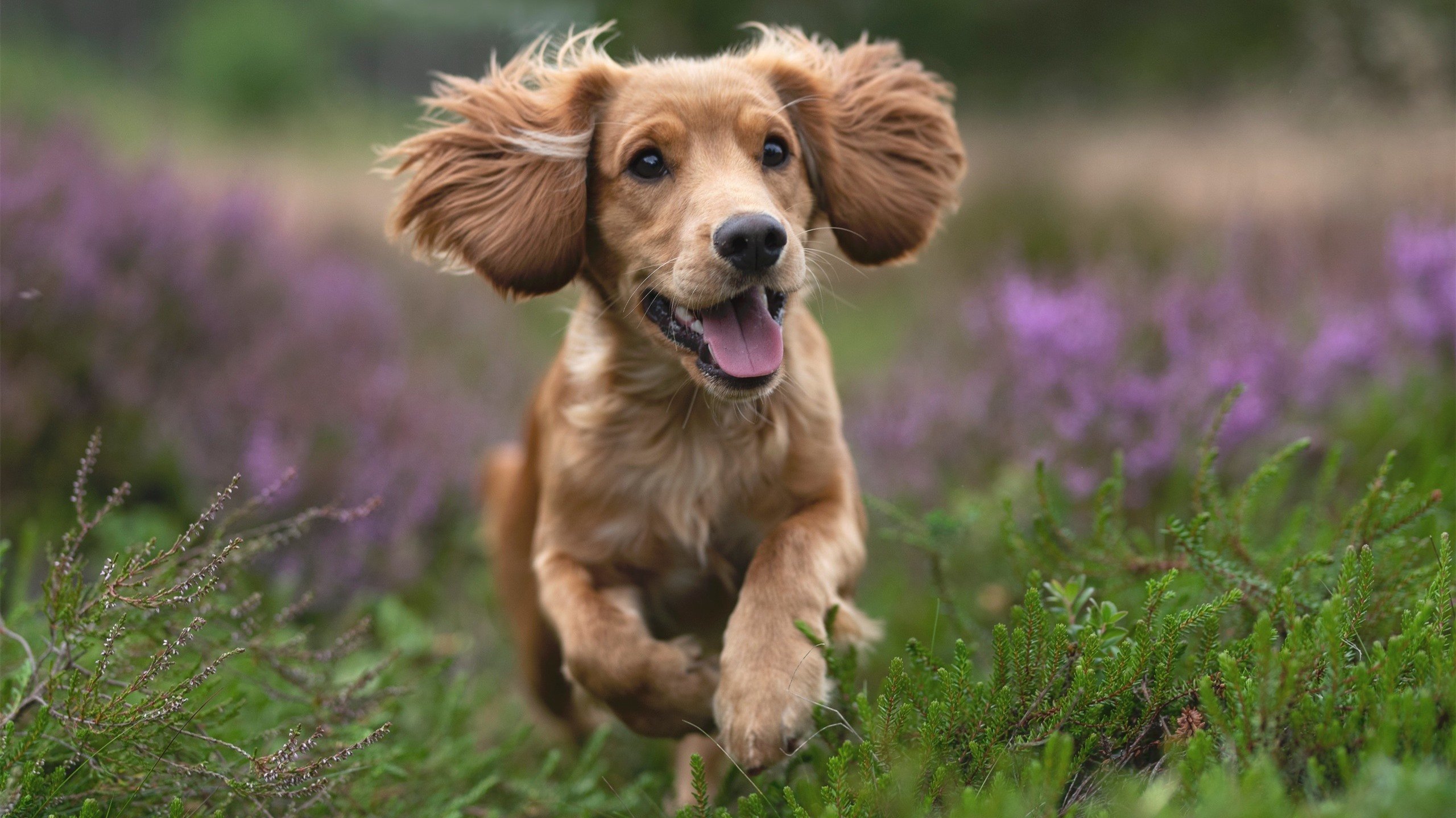 九游网页版官网-国足青年梯队发展快速，人才层出不穷，国足青训队名单