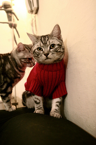 英格兰男足再胜德国,哈里·凯恩点球双响,英格兰哈里凯恩进球