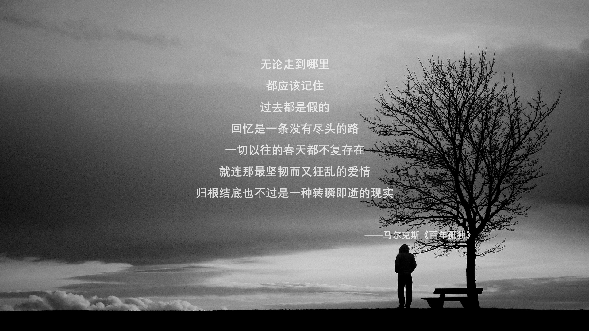 JIUYOU GAMING-雷霆队新援在比赛中展现出色，球迷心目中新宠，雷霆队新闻