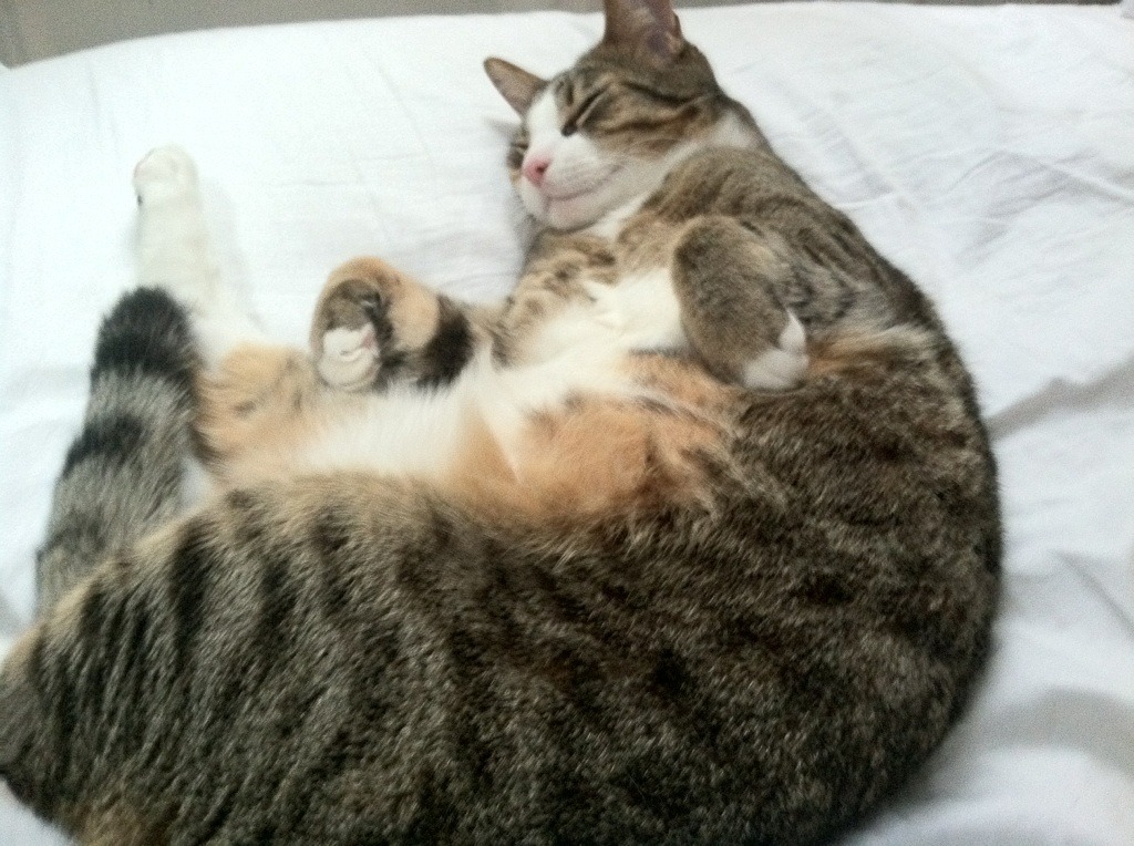 全国青少年足球挑战赛足球氛围火热,2020全国青少年足球联赛