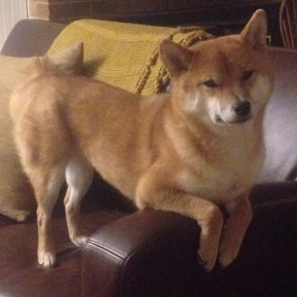 JIUYOU.COM-世界杯惊天逆转：坚持到底，梦想成真，世界杯瞬间