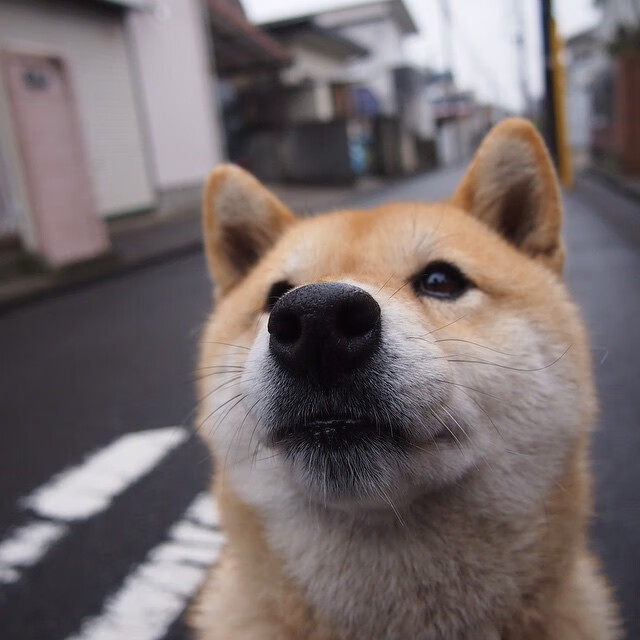世界杯惊天逆转:坚持到底,梦想成真,世界杯瞬间