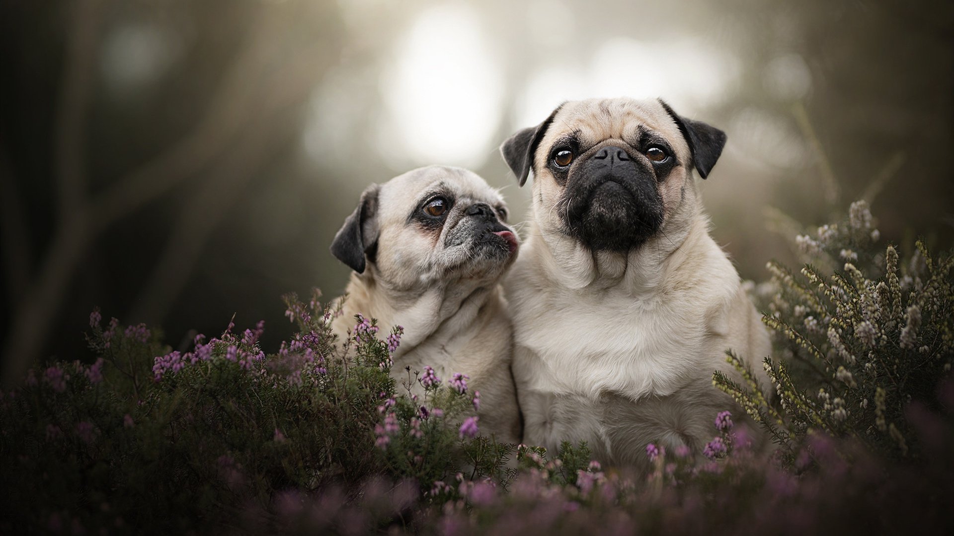 克莱尔·柯尔赞展现坚定比赛心态,克莱尔jmb