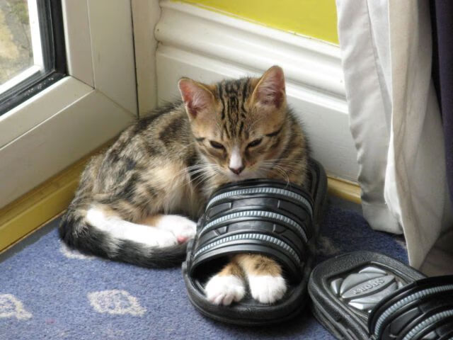 意甲快速反击:瞬间突破防线的精彩瞬间,意甲防守怎么这么严