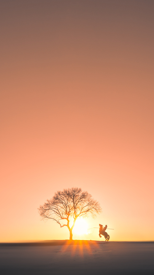 朱婷面对镜头谈及梦想与坚持,朱婷说的话