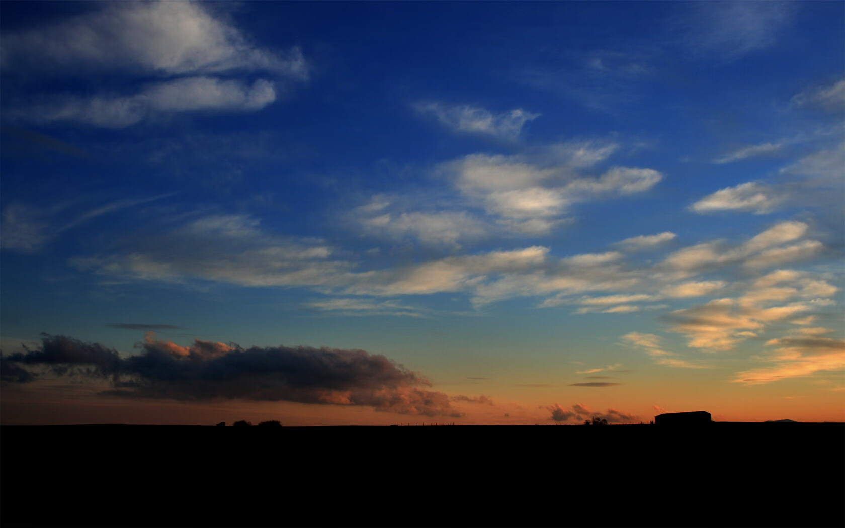 独行侠球员与教练沟通频繁主动调整训练计划,独行侠教练为什么辞职