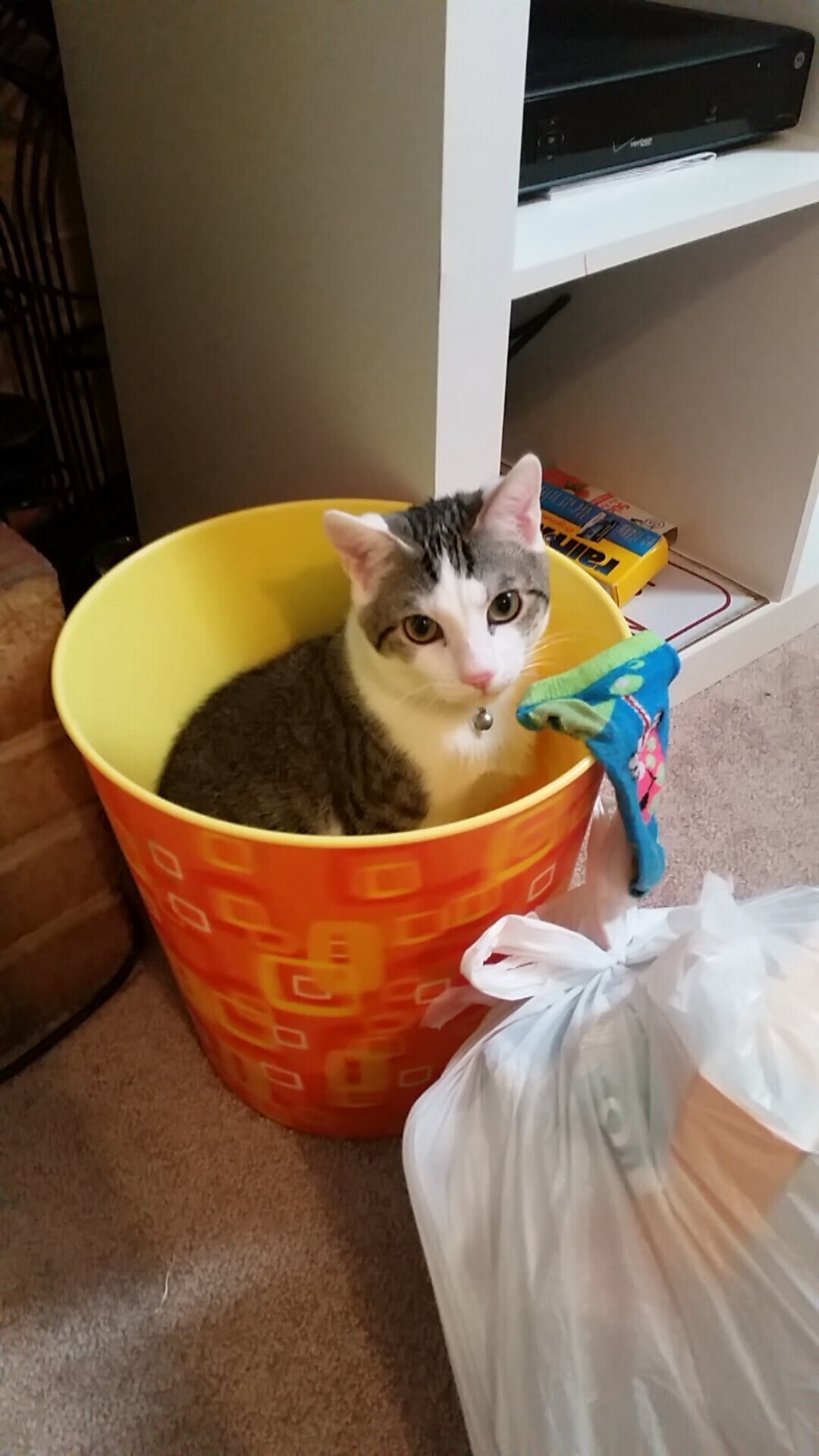 直播平台推互动竞猜，观赛参与度再创新高，直播竞猜是什么意思