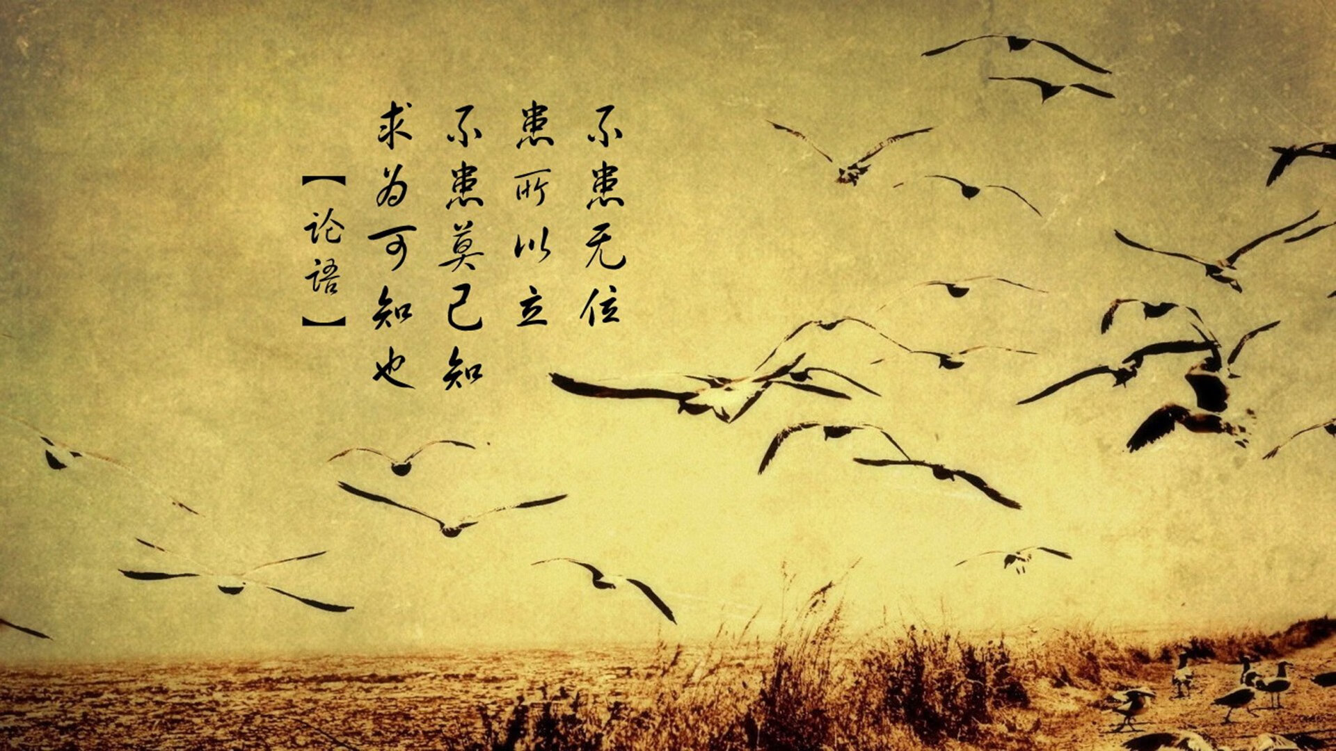 九游网游官网-青训体系构建医学支持平台保障运动健康与康复，青训概念